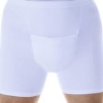 Boxer incontinencia urinaria