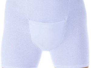 Boxer incontinencia urinaria