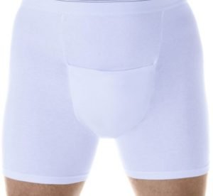 Boxer incontinencia urinaria